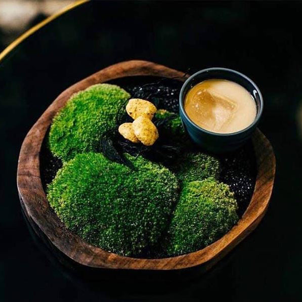 organically shaped walnut tray with plant arrangement and drink on it