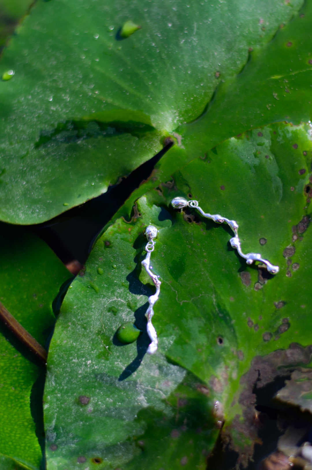 Organic silver drop earrings inspired by flowing water, handcrafted design – Naiad Collection, Atelier Objectora.
Organické strieborné visiace náušnice inšpirované prúdiacou vodou, ručne vyrábaný dizajn – Kolekcia Naiad, Atelier Objectora.