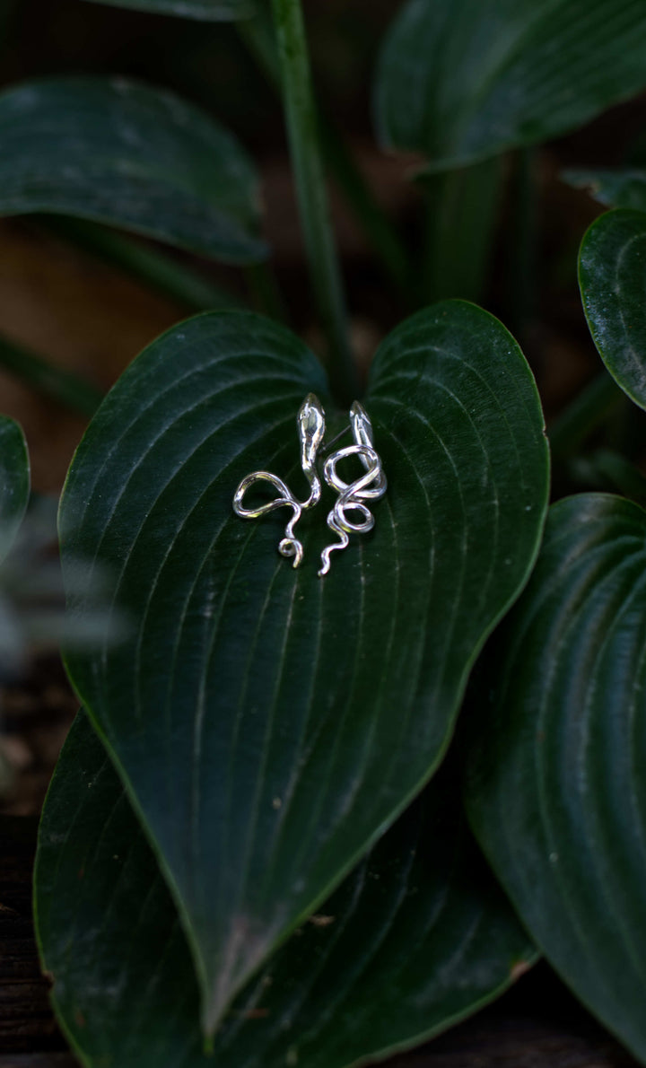 Handcrafted silver Serpent earrings by Atelier Objectora with an organic, snake inspired design, symbolizing wisdom, transformation, and mystery.

Ručne vyrobené strieborné náušnice Serpent od Atelier Objectora s organickým dizajnom inšpirovaným hadom, symbolizujúcim múdrosť, premenu a tajomstvo.